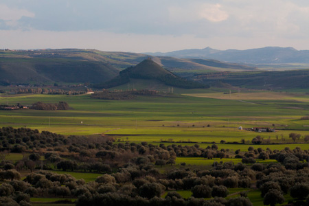 Sardegna - Giara